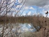 Panorama-Bacino-di-Conselice