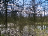 Panorama-Bacino-di-Conselice