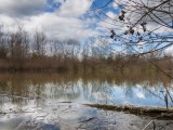 Panorama-Bacino-di-Conselice