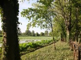 Foto-passeggiata