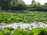 veduta-panoramica