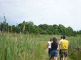 A-spasso-per-i-sentieri-nell-area-verde