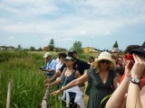 Momenti-di-Birdwatching