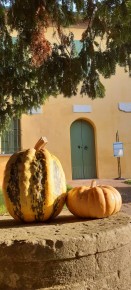 31-ottobre-2020-Laboratorio-per-Halloween 31-ottobre-2020-Laboratorio-per-Halloween