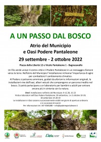 A-un-passo-dal-Bosco