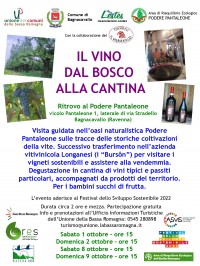 Il-vino-dal-bosco-alla-cantina-Podere-Pantaleone