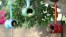 Laboratorio-per-conoscere-l-avifauna-e-per-realizzare-piccole-mangiatoie