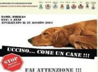 Parte-la-campagna-di-sensibilizzazione-contro-l-avvelenamento-degli-animali