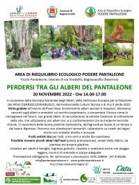 Perdersi-tra-gli-alberi-del-Pantaleone