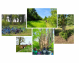 Progetto-YOUNG-IN-NATURE