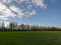 Infanzia-in-Natura-2